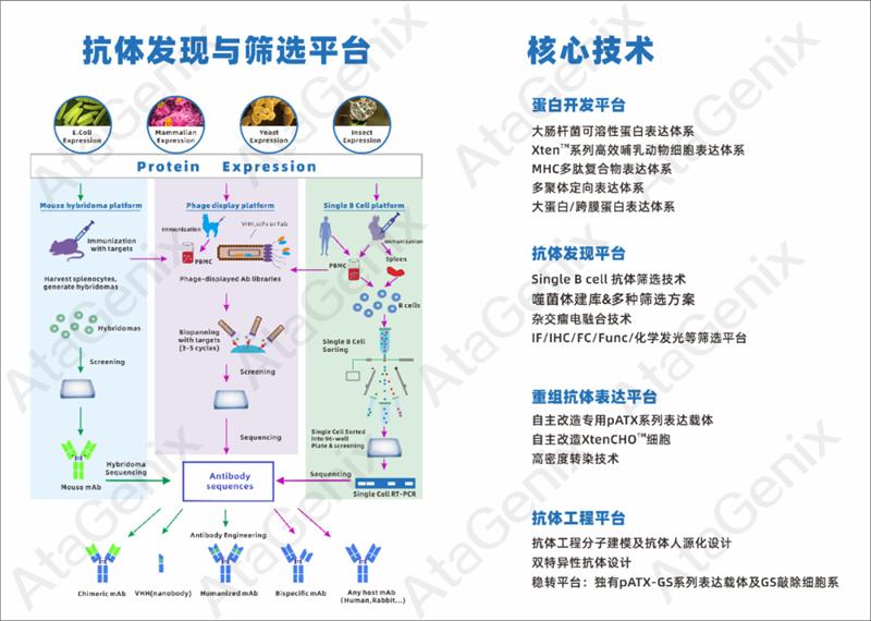 武漢國家生物產(chǎn)業(yè)基地公共服務(wù)平臺—光谷抗體發(fā)現與篩選公共服務(wù)平臺