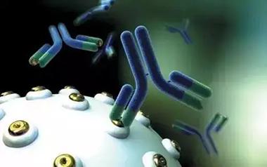 盤(pán)點(diǎn)抗體(antibody)具備的那些生物學(xué)的功能