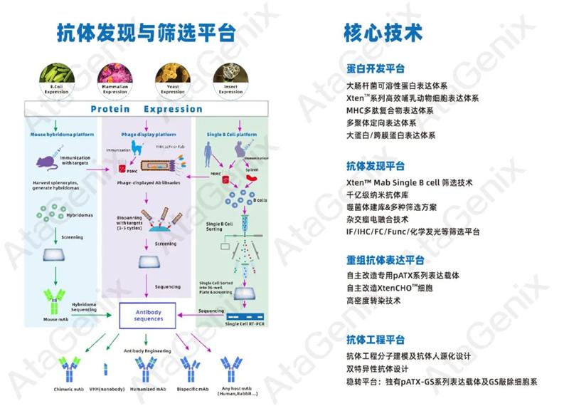 普健生物與環(huán)特生物達成戰略合作