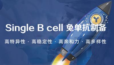 普健生物Xten™ Mab Single B 兔 單克隆抗體開(kāi)發(fā)服務(wù)驚喜上市