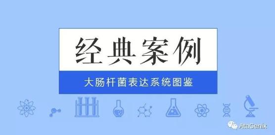 經(jīng)典案例|普健大腸桿菌表達系統
