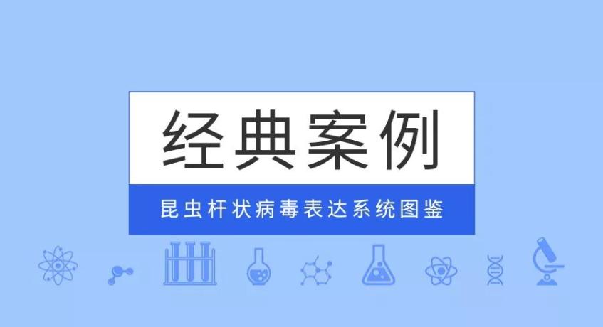 經(jīng)典案例|普健生物昆蟲(chóng)桿狀病毒表達系統