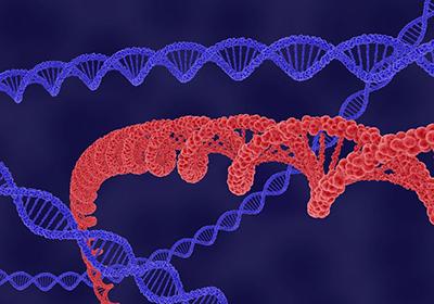 重組蛋白純化后為什么會(huì )出現沉淀的情況?該如何解決?