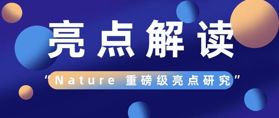 盤(pán)點(diǎn)：1月份Nature雜志不得不看的重磅級亮點(diǎn)研究！