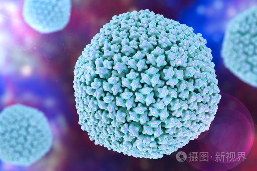 總被要求去內毒，究竟是為什么？