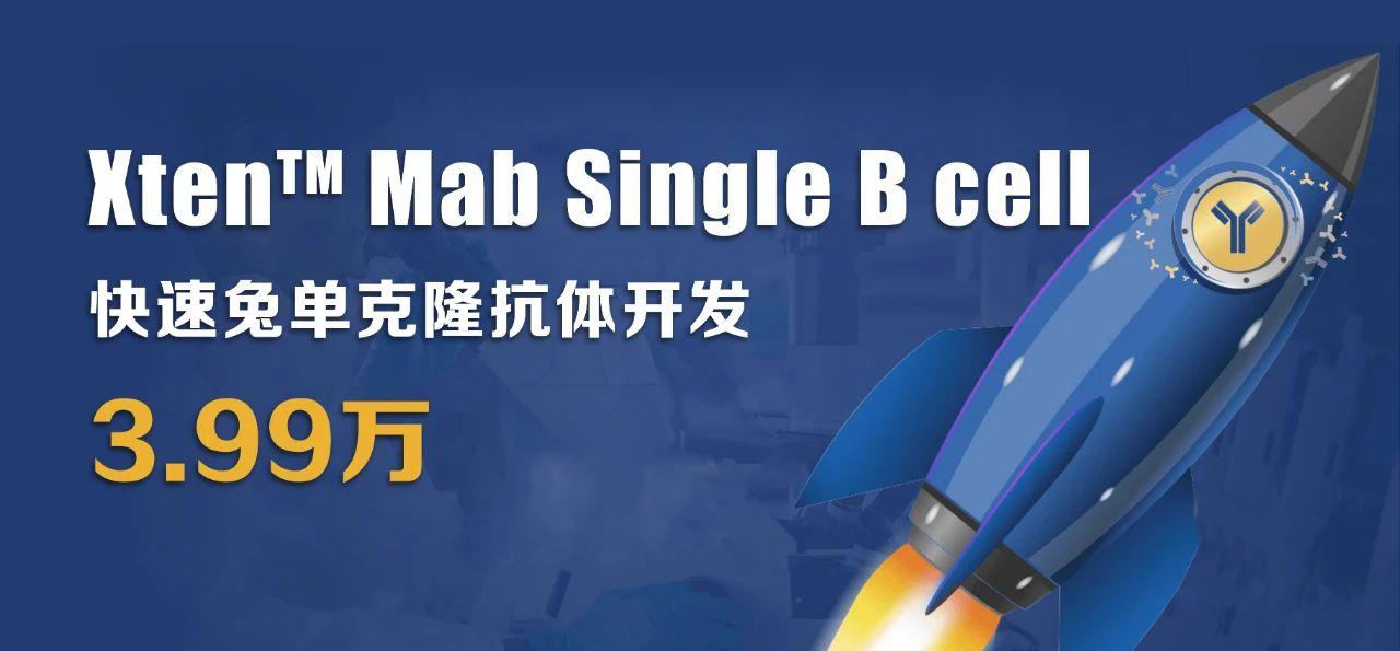 兔穎而出：兔單克隆抗體開(kāi)發(fā)新選擇