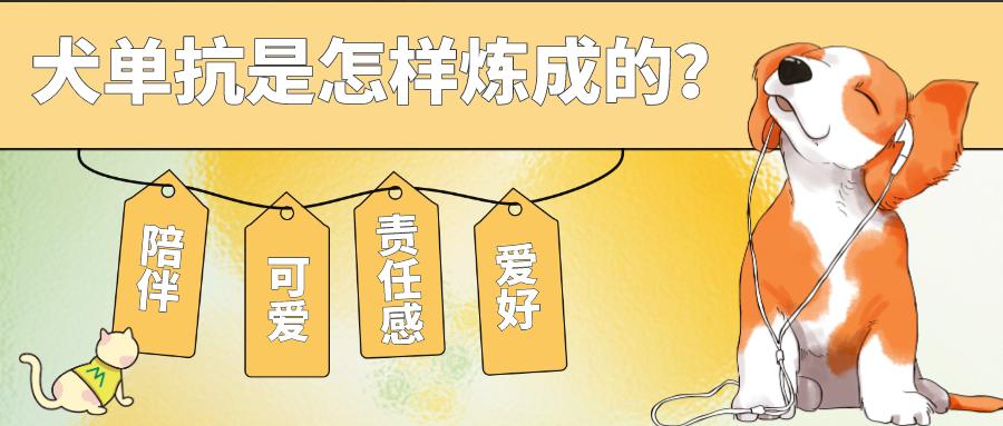 首款犬的單克隆抗體獲批！犬單抗是怎樣煉成的？