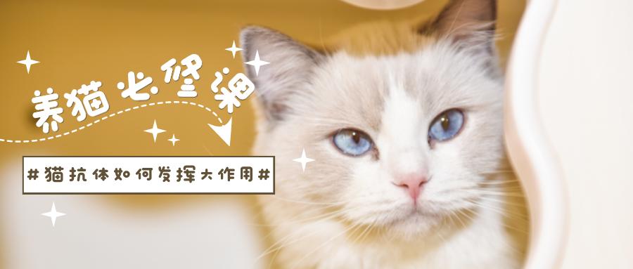 鏟屎官們看過(guò)來(lái)！貓抗體如何發(fā)揮大作用