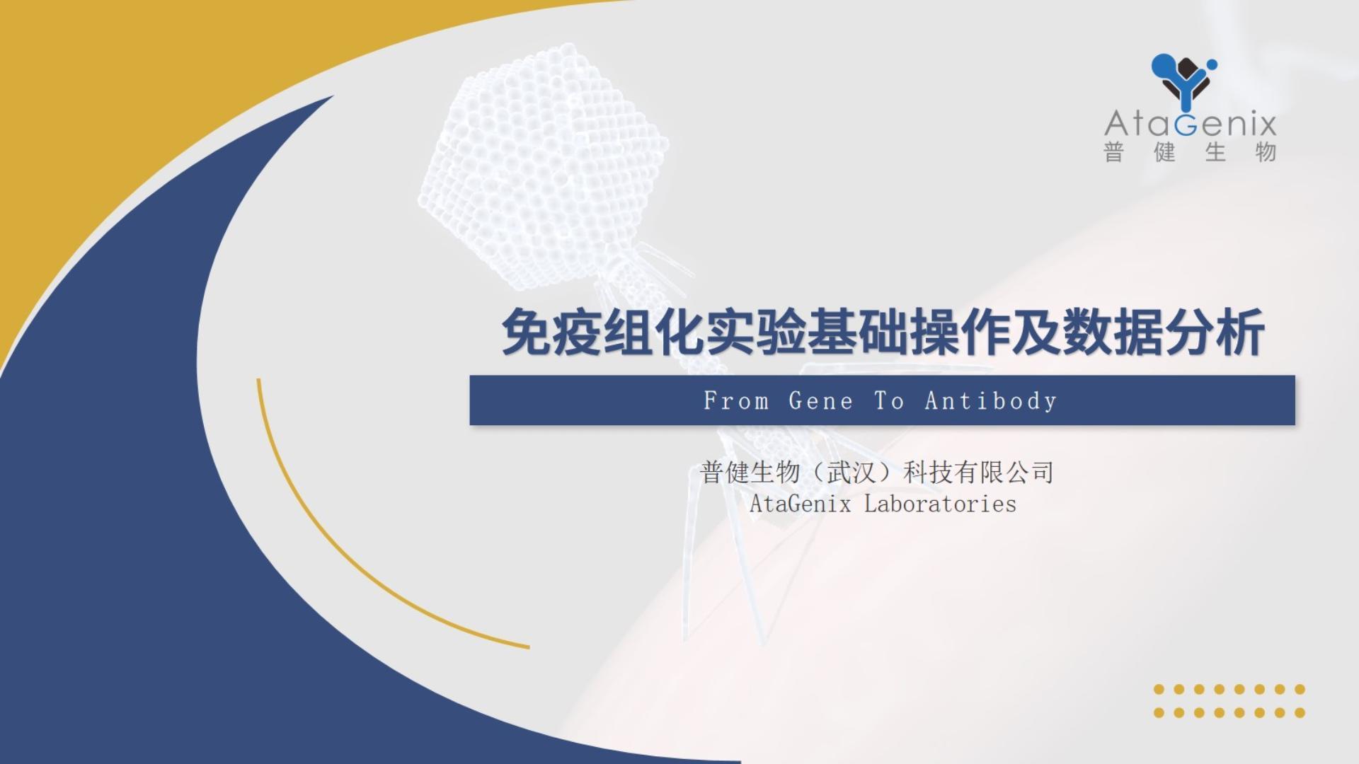 【基礎實(shí)驗一篇搞定】免疫組化——IHC實(shí)驗基礎操作