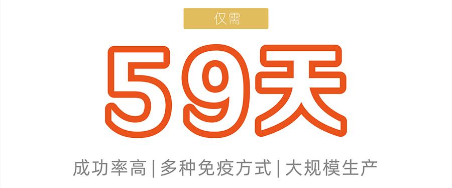 雜交瘤細胞開(kāi)發(fā)-鼠單克隆抗體僅需59天