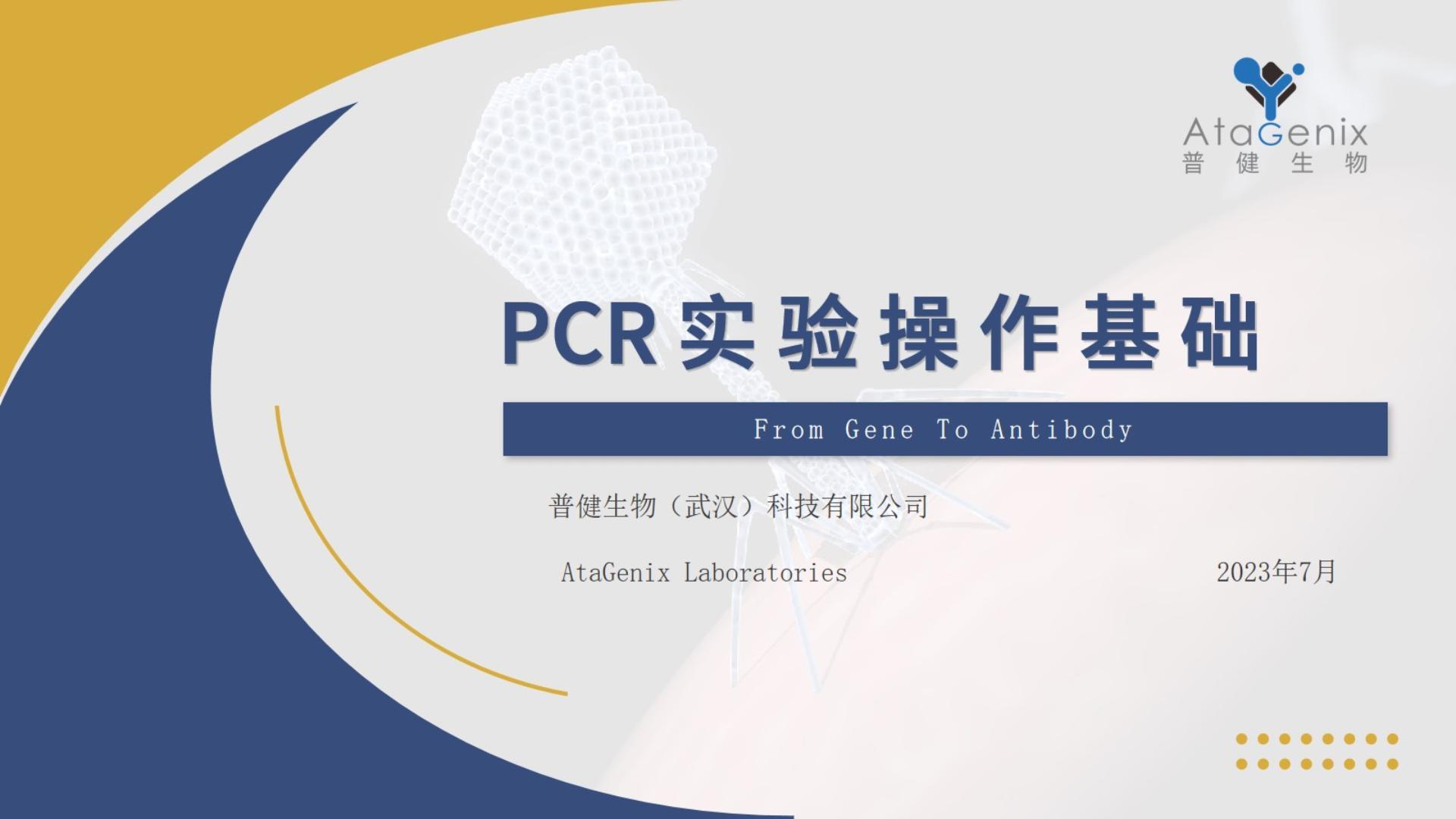 基礎試驗操作篇——PCR實(shí)驗