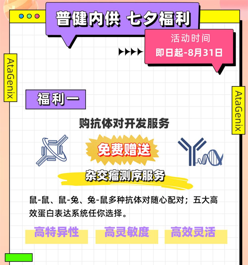 愛(ài)在七夕，更在朝夕