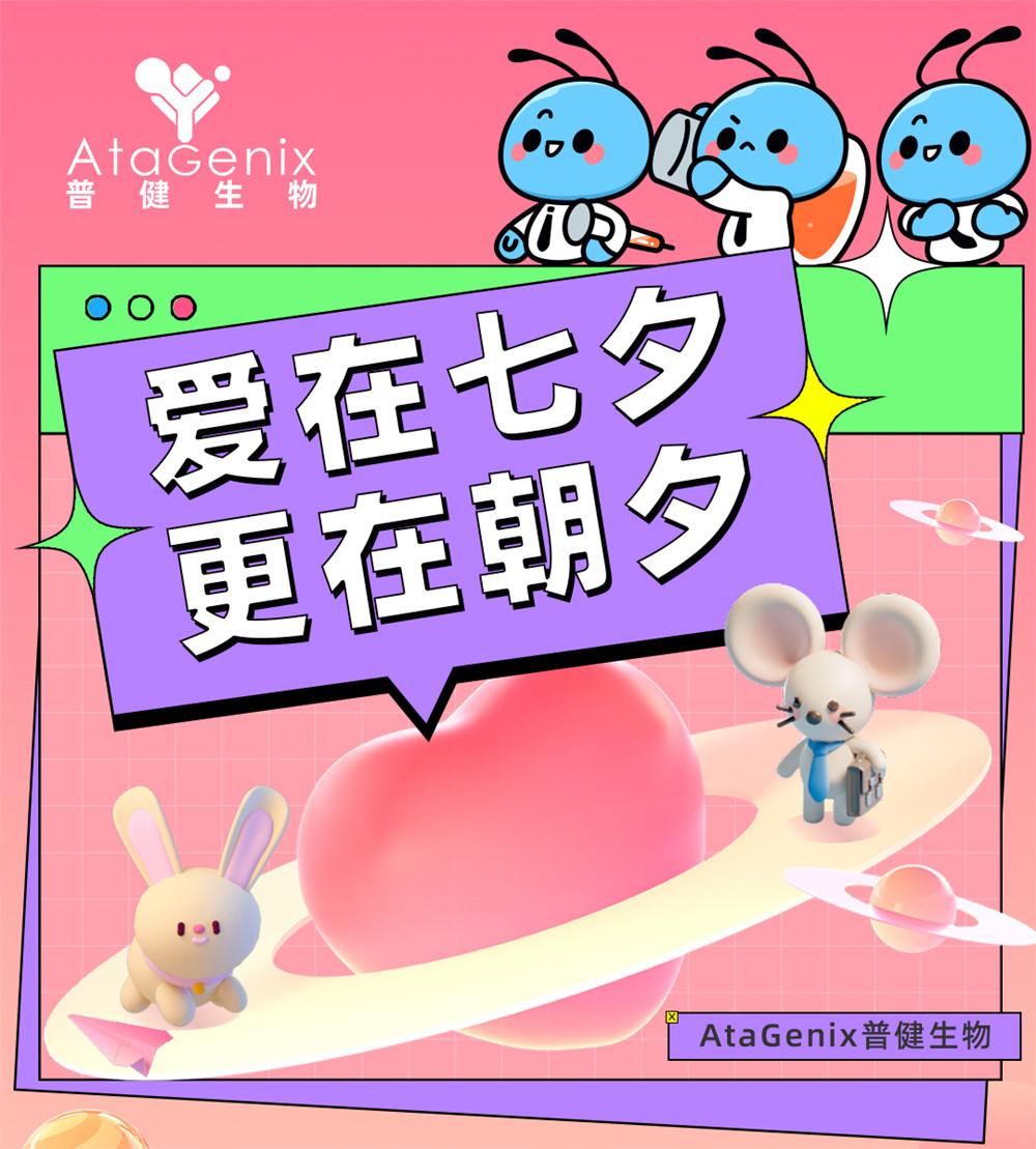 愛(ài)在七夕，更在朝夕