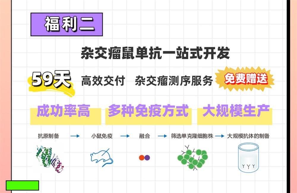 愛(ài)在七夕，更在朝夕