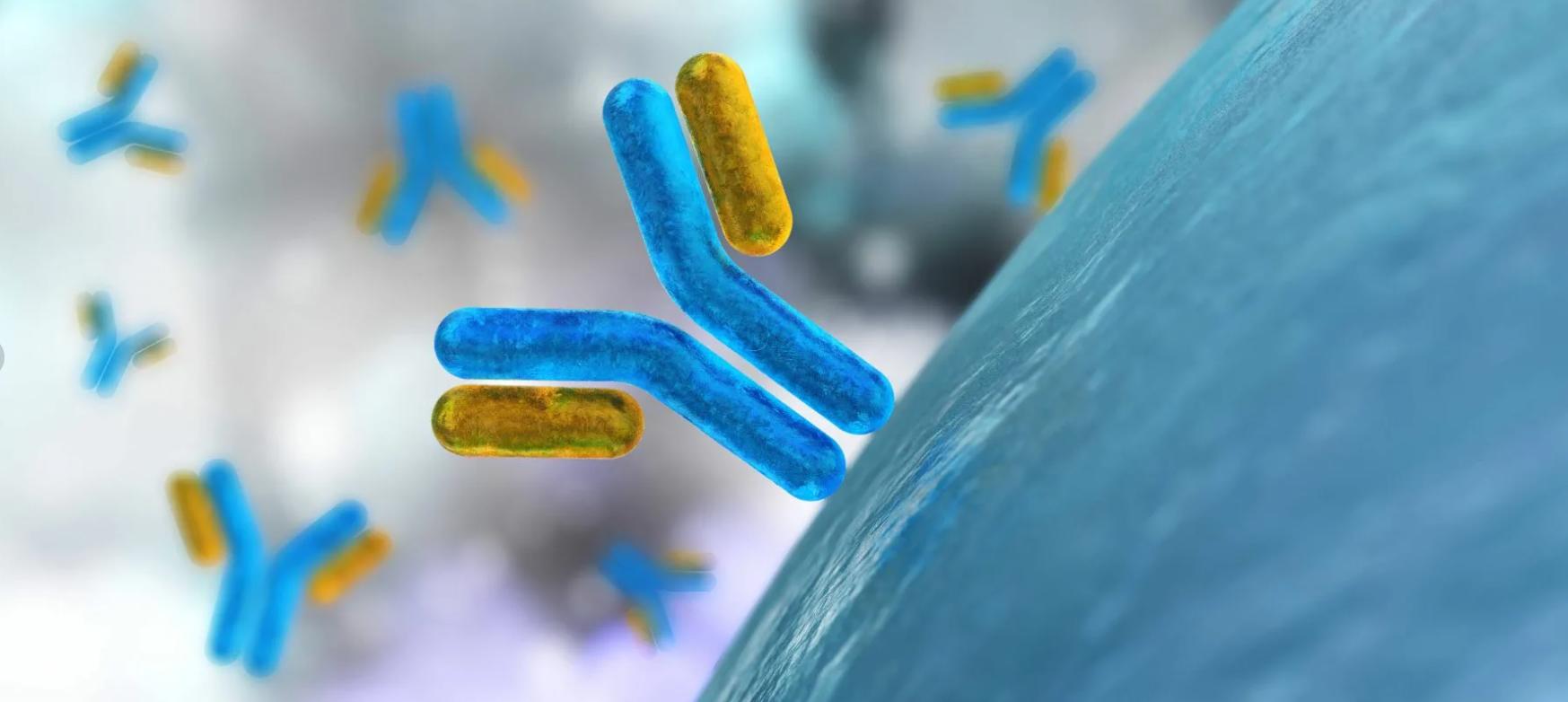 新一代″生物技術(shù)導彈″——對腫瘤免疫策略有重大意義的納米抗體（上）