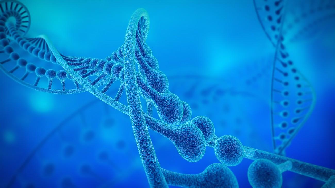 溶酶體酶PPT1介導的細胞穩態(tài)調控及疾病發(fā)生的研究