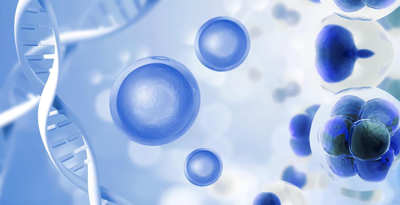 CD133、CD44、CD11b在急性髓系白血病中的表達及其與臨床預后的相關(guān)性研究