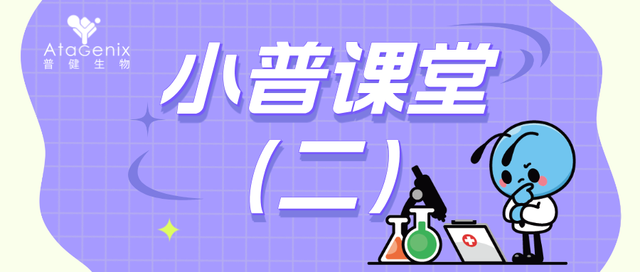 重組蛋白的多元化表達系統（二）